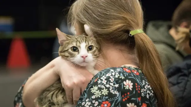 Маца са новом власницом