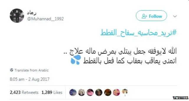 #نريد_محاسبه_سفاح_القطط