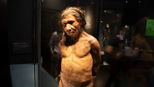neanderthal, manusia purba, spesies purba, homo sapiens, gibraltar