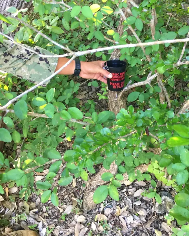 Un piège à moustiques est placé sur le terrain dans le cadre du programme de surveillance à Guantanamo Bay