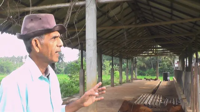පී අබේගුණතිලක