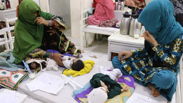 Jinsiy aloqa katta mushuk