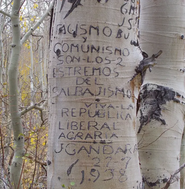Arboglifo que dice "El fascismo y el comunismo son los dos extremos del salvajismo. ¡Viva la república agraria liberal".