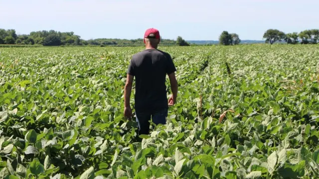 અમેરિકન ખેડૂતો