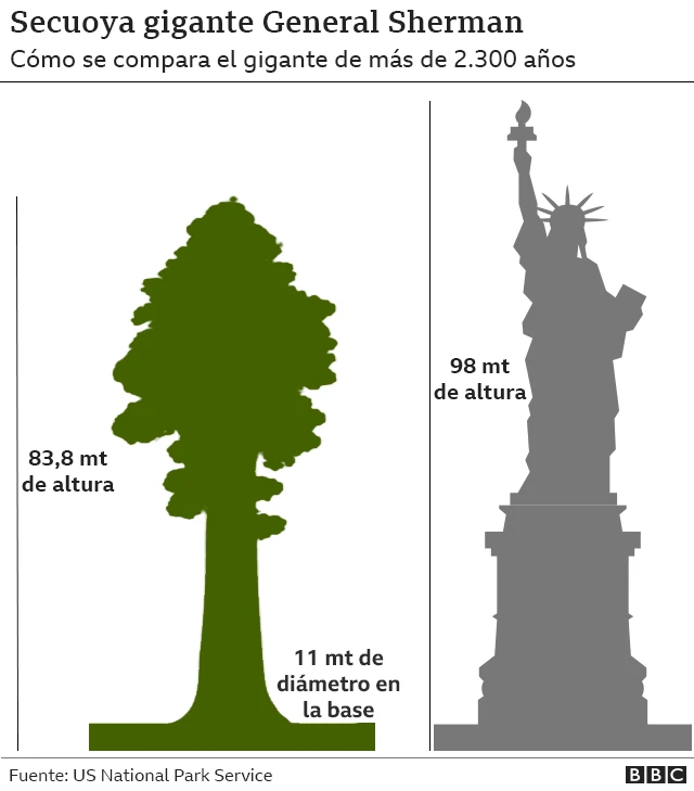 Gráfico que compara la altura de General Sherman con la de la Estatua de la Libertad