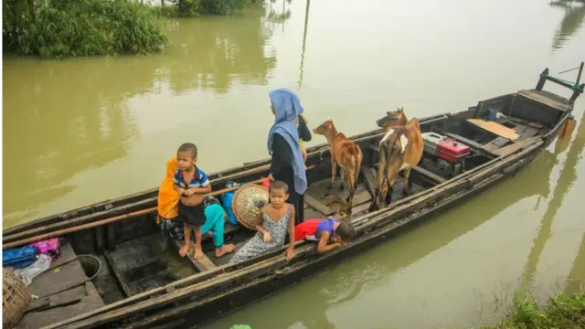 বন্যা আক্রান্ত একটি পরিবার তাদের গবাদিপশু নিয়ে নিরাপদ আশ্রয়ের সন্ধ্যানে যাচ্ছে