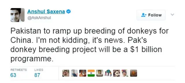 पाकिस्तानी गधे