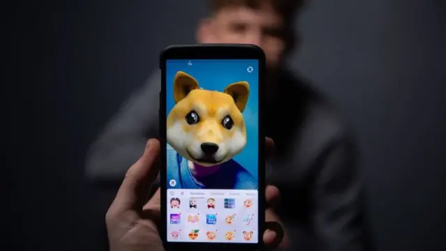 L'application permet aux utilisateurs de créer de courtes vidéos et de les mettre en musique, avant de les partager avec leurs abonnés.