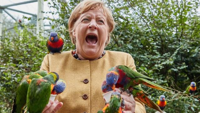 Angela Merkel (CDU), German Chancellor, feeds Australian lorikeets at Marlow Bird Park and gets bitten, 23 September 2021, Mecklenburg-Western Pomerania, Marlow