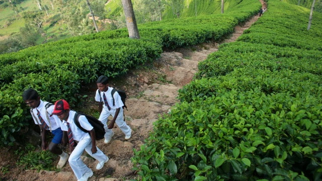 Children's Day in Sri Lanka