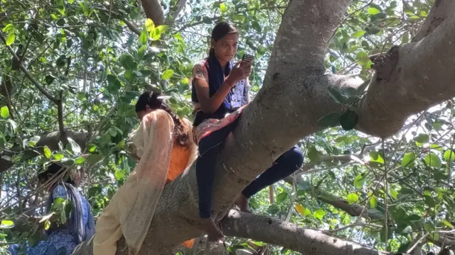 மரத்தில் ஏறி ஆன்லைன் வகுப்பில் கலந்துகொள்ளும் மாணவர்கள்.