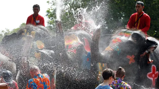 สงกรานต์ช้างที่อยุธยา