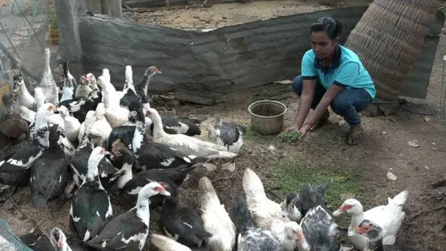 இலங்கை உள்நாட்டு போரிலிருந்து மீண்ட ஒரு பெண்ணின் வெற்றி கதை