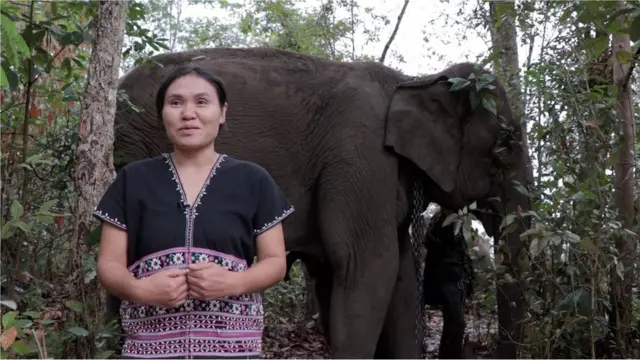 ช้างบ้านกลับถิ่น