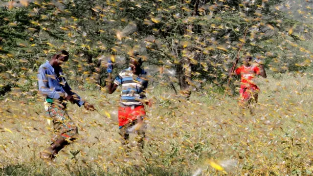 Samburu men attempt to fend-off a swarm of desert locusts flying over a grazing land in Lemasulani village, Samburu County, Kenya - 17 January 2020