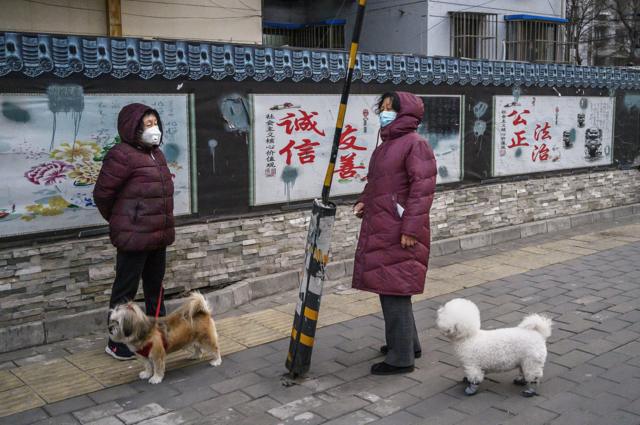疫情中北京市民在遛狗（與本文無關）