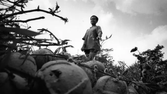 кассетные бомбы в Лаосе