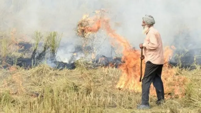 ਪਰਾਲੀ ਨੂੰ ਅੱਗ ਲਾਉਂਦਾ ਇੱਕ ਕਿਸਾਨ