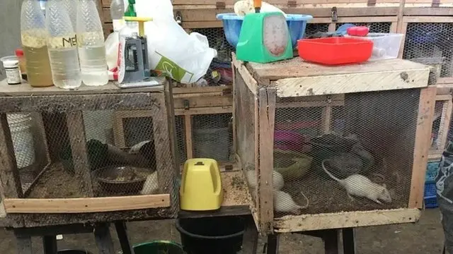 Animal house for University of Portharcourt