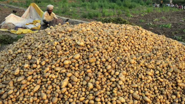 आलू किसान