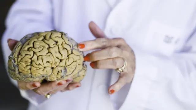 Marian Diamond con un cerebro en la mano