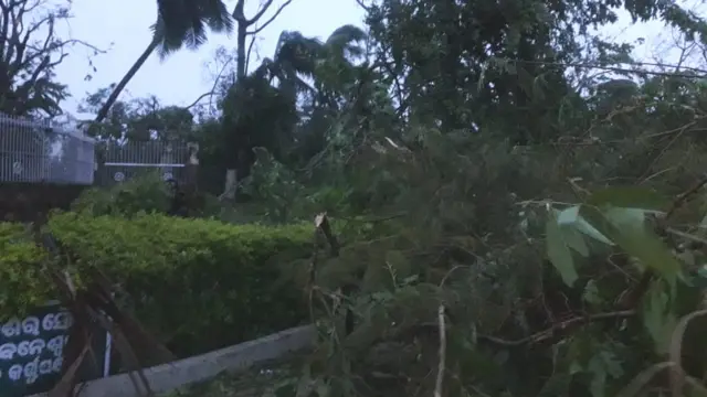 राज्य विधानसभा का दरवाज़ा