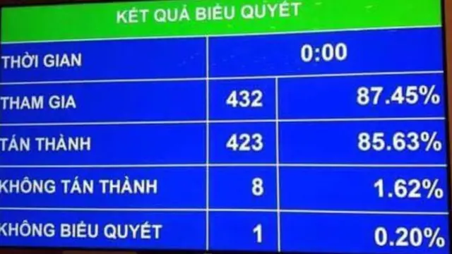 Việt Nam, biểu tình