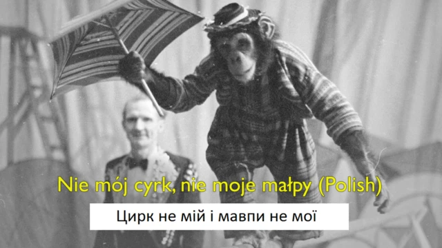 Мавпи
