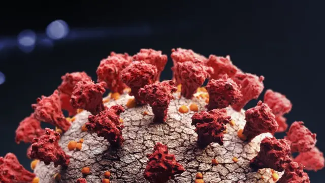 கொரோனா வைரஸ்