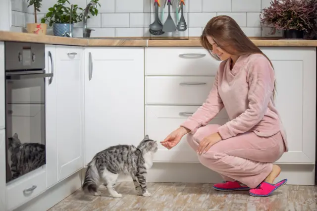 Девушка и кот