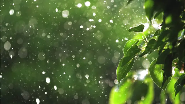 Rain drops