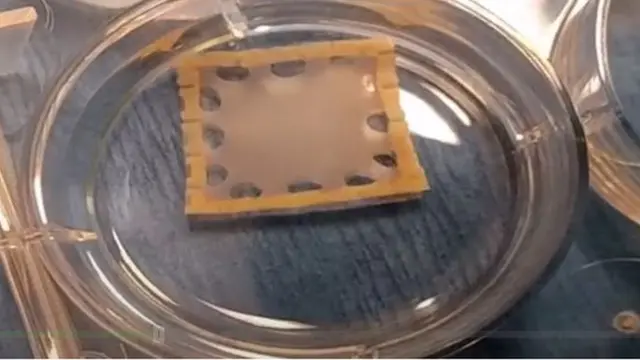 హార్ట్ ప్యాచ్, హృద్రోగులు