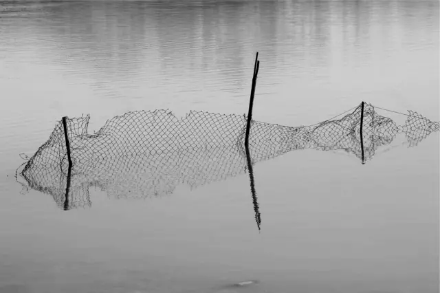 مهدی نوید حیدری