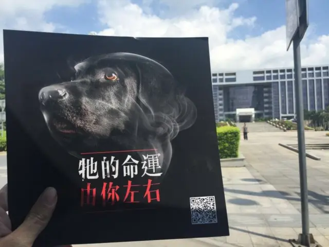 許多動物權益組織在中國進行游說及教育工作，希望從新一代著手，改變吃狗肉文化。