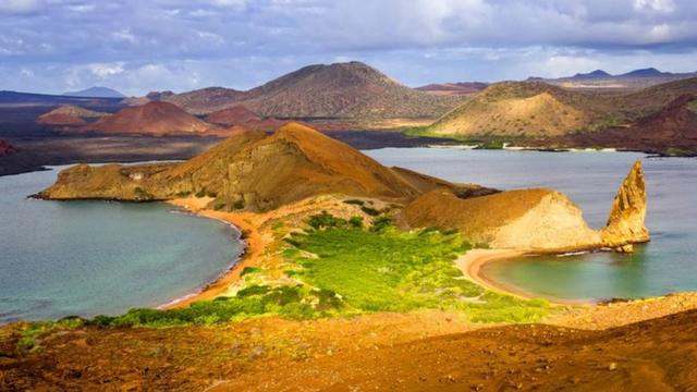 Explosión de vida oceánica originó las primeras montañas de la Tierra