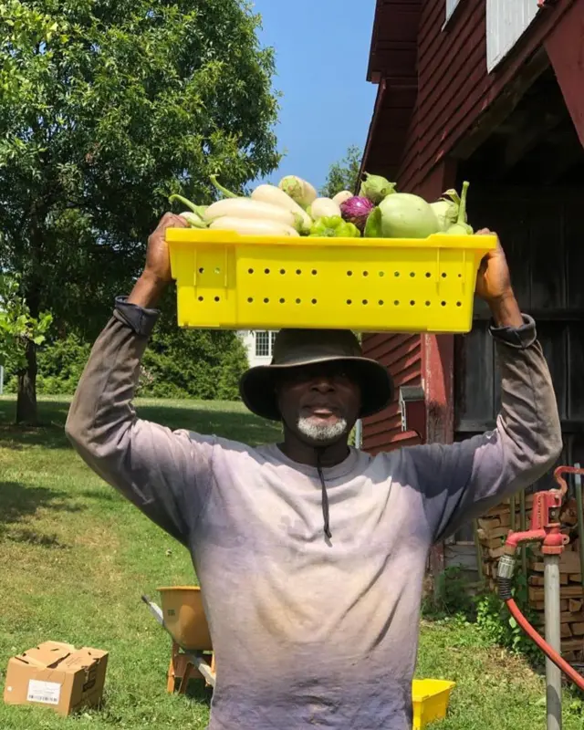 Tọkọ-taya Olaniyi