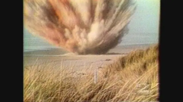 ballena en explosión