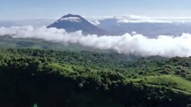 Serengueti, na Tanzânia