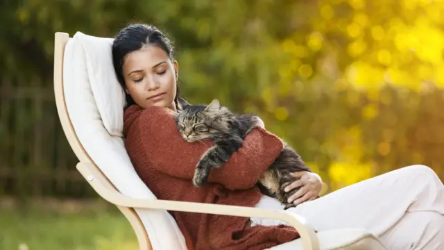 Дневной сон