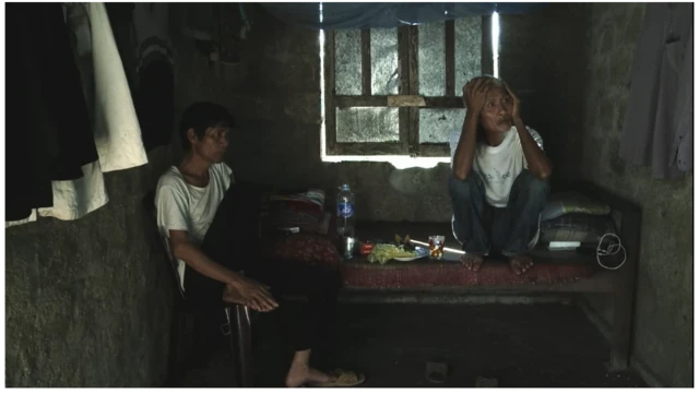 Việt Nam, phim