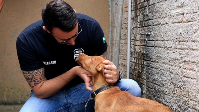 Matheus Laiola fazendocarinhoqual o melhor app para apostascão resgatado