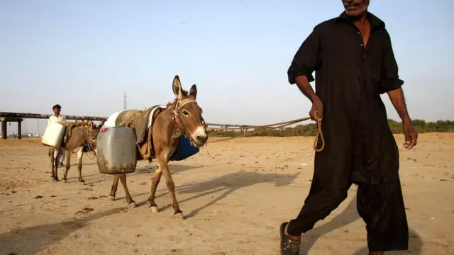 ورلڈ واٹر ڈے