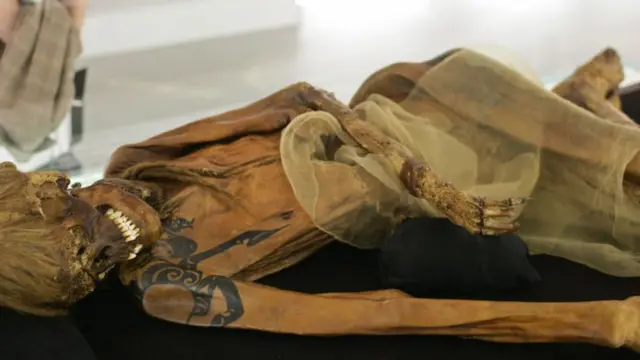 The exhibition presents the history of these horesemen and their culture, from their early ranges along the Yenisei River up to the very doorstep of Central Europe.