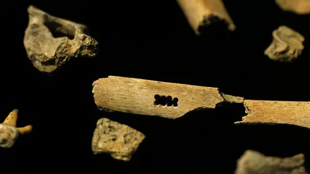 நியாண்டர்தால்