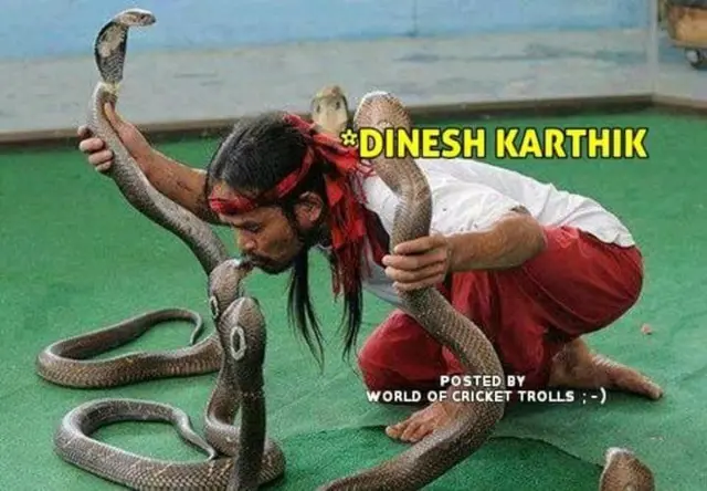 பாம்புகளுக்கு பாலூட்டிய இந்திய அணி - இணையத்தை அதிர வைக்கும் கிரிக்கெட் மீம்கள்