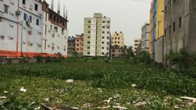 বাংলাদেশ