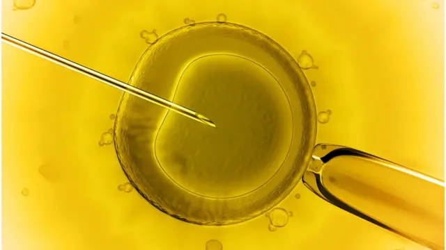 Fertilização in vitro