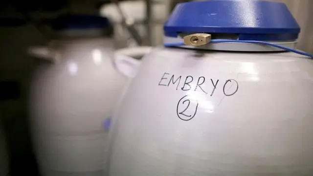 પ્રતીકાત્મક તસવીર