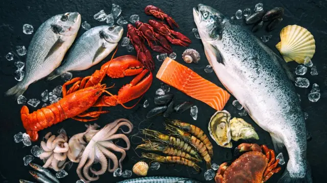 මසුන්, බෙල්ලන්,කකුළුවන් ,සාගර උණුසුම