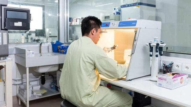 Une des équipes de Duong travaille sur un échantillon d'urine de chauve-souris